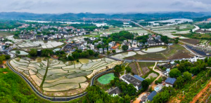 河源下屯村发展“红”“绿”产业,激活乡村振兴力量 河源下屯村发展“红”“绿”产业,激活乡村振兴力量