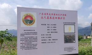 肇庆鼎湖：耕地保护工作突出 获得国务院奖励1000亩用地计划指标