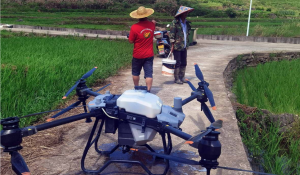 韶关乐昌：植保无人机为现代农业插上“翅膀”