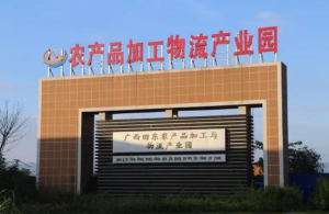深圳坪山：“山海协作”推进乡村全面振兴