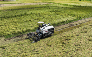 阳江：农机作业用柴油可享受5%优惠