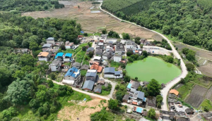 东莞对口帮扶韶关花坪镇：村头瓜果香，湾区菜篮丰