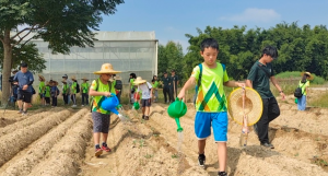 广州增城番丰村：“农业+N”模式助推乡村振兴