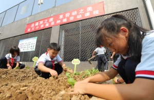 河源源城区加强劳动教育，促进学生全面发展