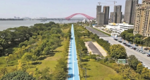 广州南沙凫洲水道碧道全线建成开放