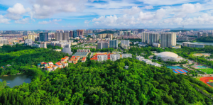 阳江荣膺“国家森林城市”称号