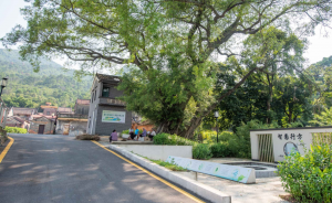 佛山高明:第二批市级乡村振兴示范村基本建成 佛山高明:第二批市级乡村振兴示范村基本建成