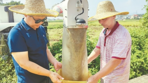 惠州多措并举增加粮食播种面积 82.89万亩秋粮喜获丰收