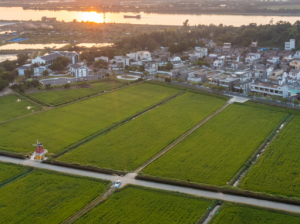 珠海市高质高效推进高标准农田建设 让“粮田”变“良田”