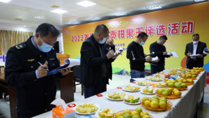 云浮罗定:小菌菇撑起“致富伞” 云浮罗定:小菌菇撑起“致富伞”