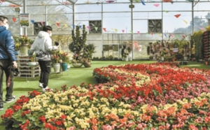 第二届广州国际（流溪）花卉博览会开幕