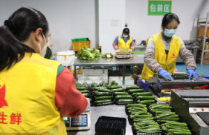 春节临近，珠海多举措保障港澳鲜活农产品供应