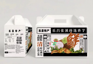 广东艺术职业学院美术设计学院助力帮扶乐昌文化建设